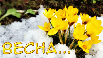 ВЕСНА ПРИШЛА🌸🌼🌺 ВЕСНА ПРИШЛА🌸🌼🌺.